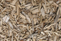 biomass boilers Trelewis
